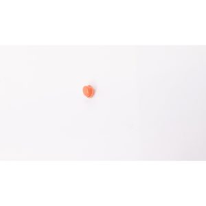 T40 Pause Button